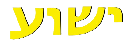 logo removebg preview
